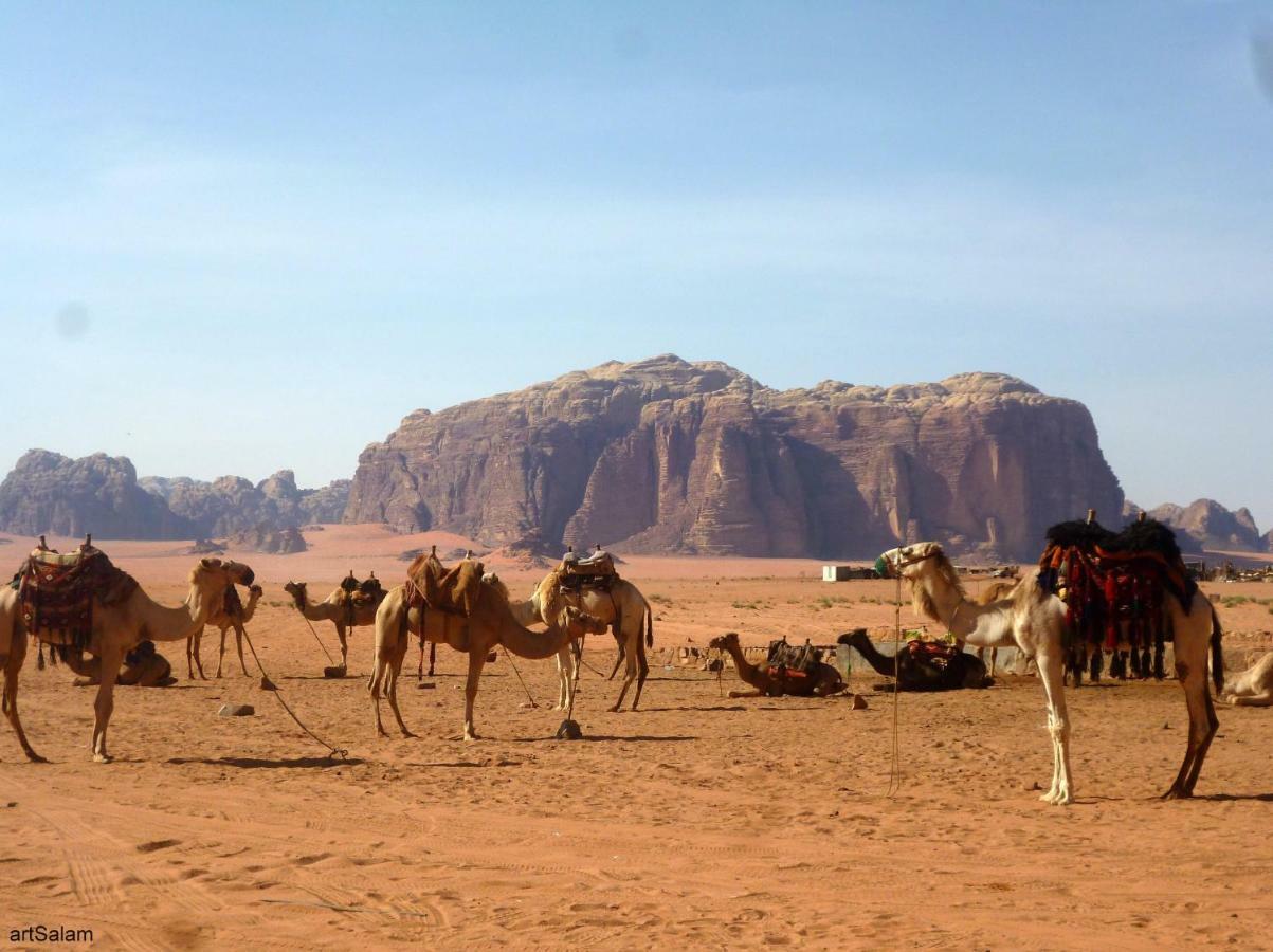 Sunrise Camp Hotel Wadi Rum Ngoại thất bức ảnh