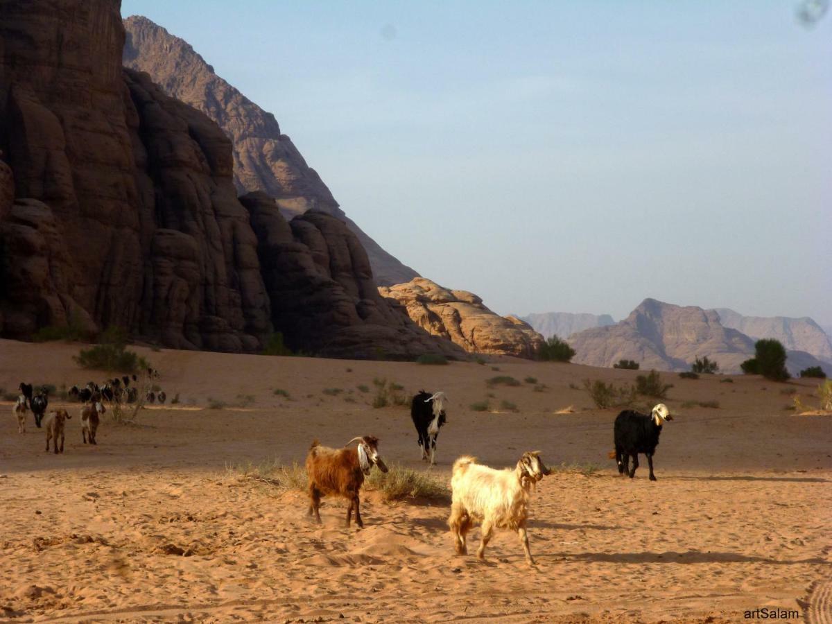 Sunrise Camp Hotel Wadi Rum Ngoại thất bức ảnh