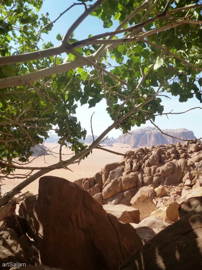 Sunrise Camp Hotel Wadi Rum Ngoại thất bức ảnh