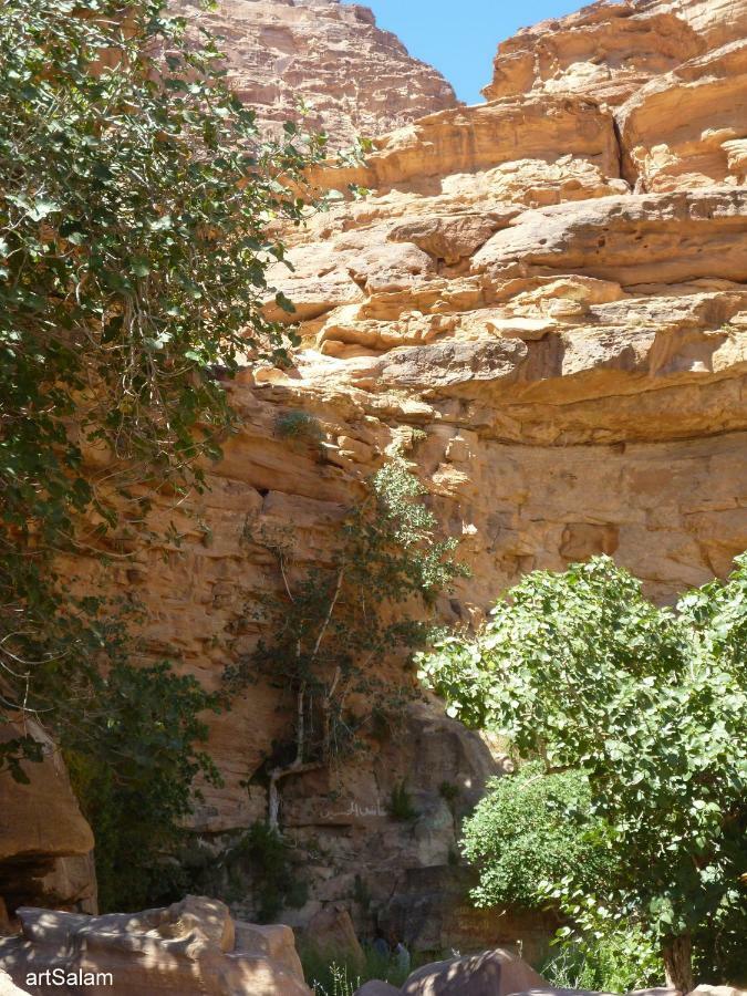 Sunrise Camp Hotel Wadi Rum Ngoại thất bức ảnh
