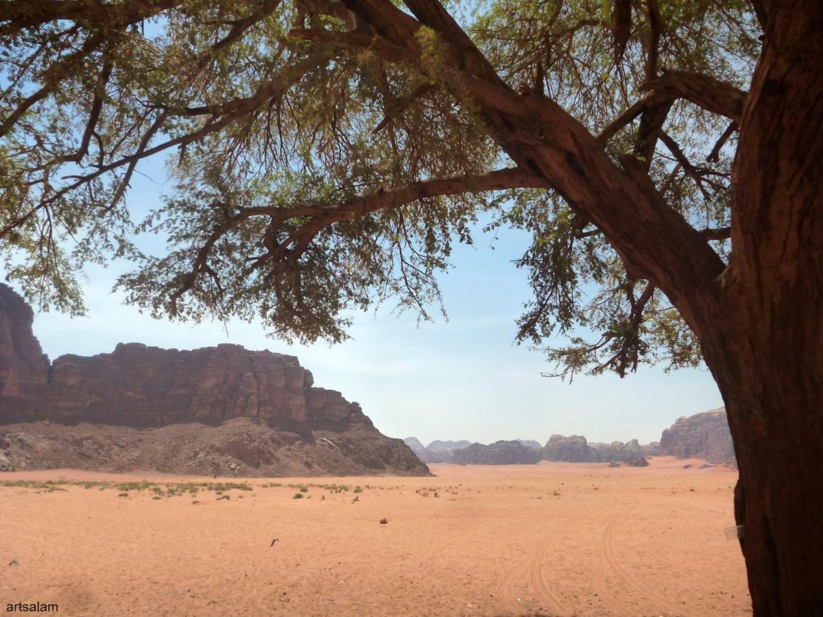 Sunrise Camp Hotel Wadi Rum Ngoại thất bức ảnh
