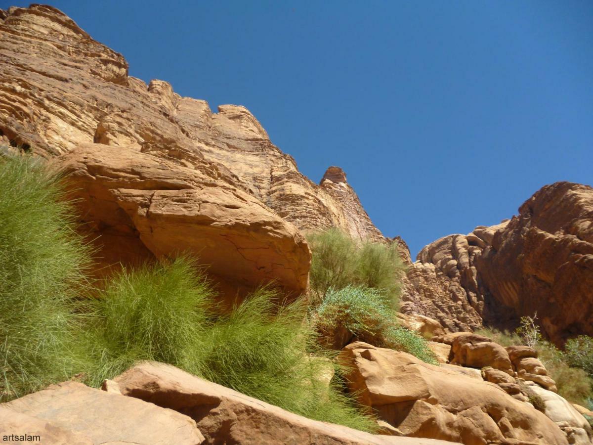 Sunrise Camp Hotel Wadi Rum Ngoại thất bức ảnh