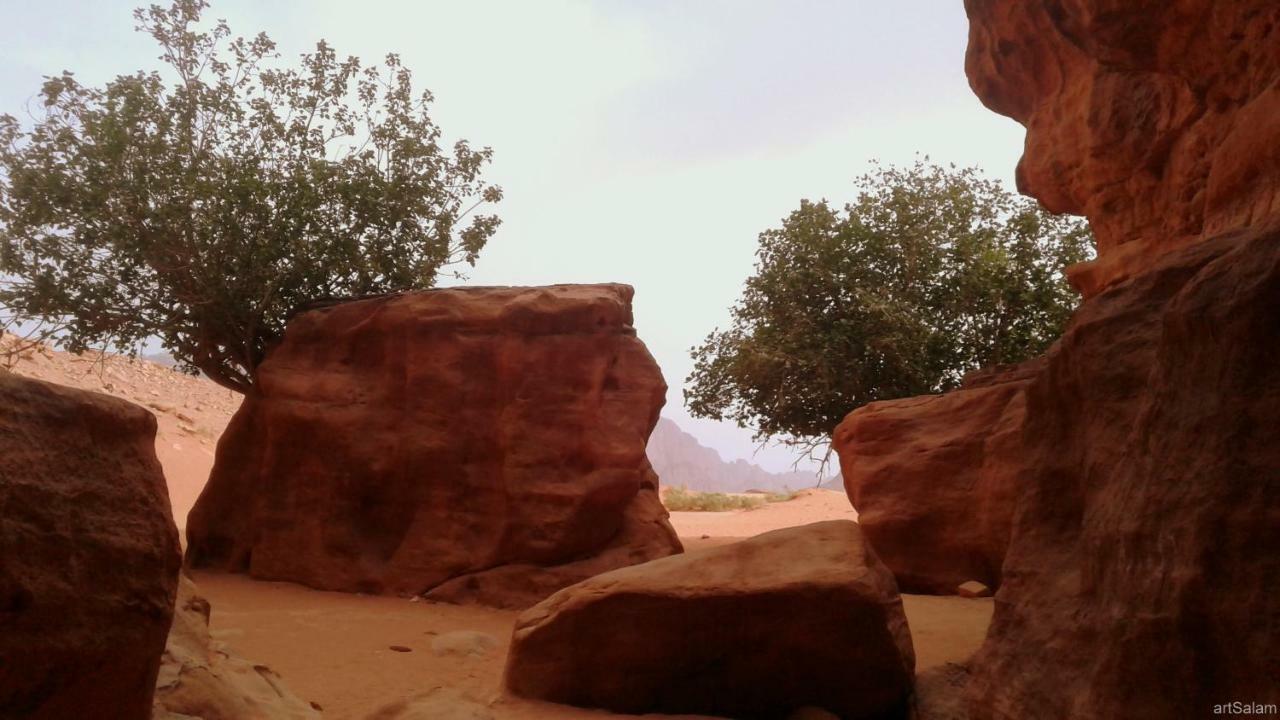 Sunrise Camp Hotel Wadi Rum Ngoại thất bức ảnh