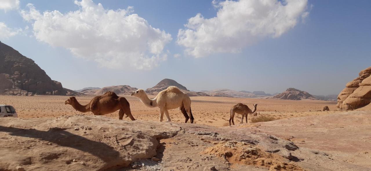 Sunrise Camp Hotel Wadi Rum Ngoại thất bức ảnh