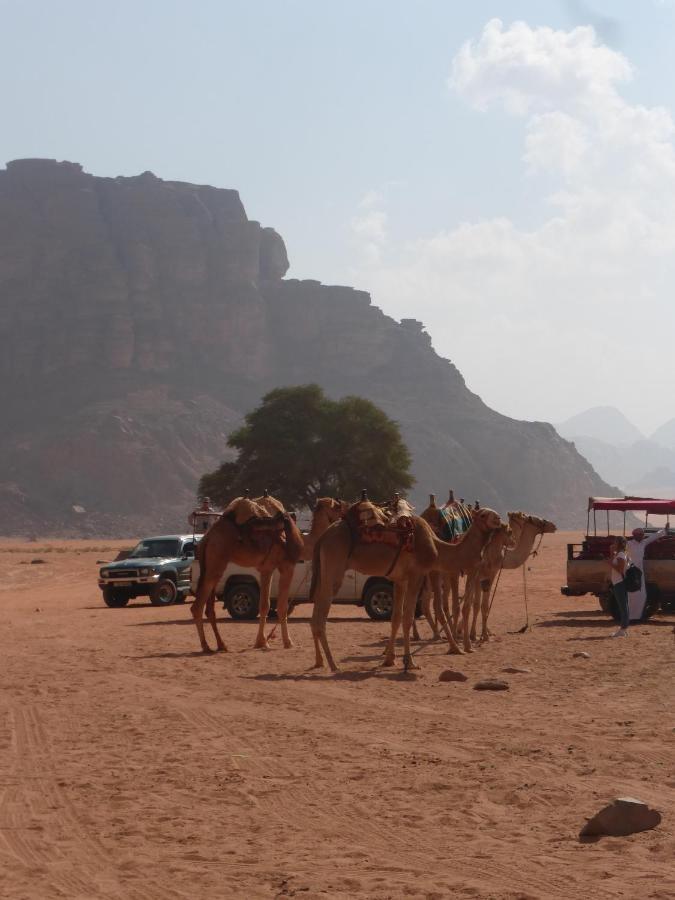 Sunrise Camp Hotel Wadi Rum Ngoại thất bức ảnh